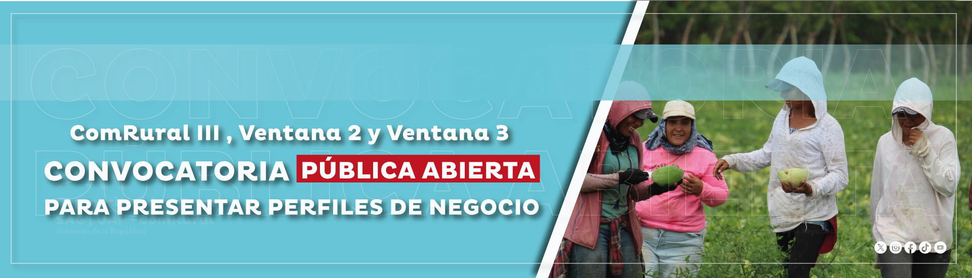 Convocatorias para organizaciones de productores rurales y empresas ancla en las Ventanas 2 y 3, ComRural III